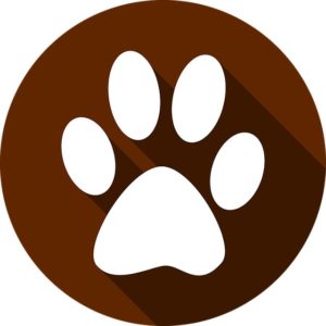 Hundetransportbox - Hundebox Vorteile